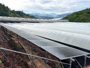 Cameron Highlands Agricultural Greenhouse PV Energy Storage Project, Malaysia