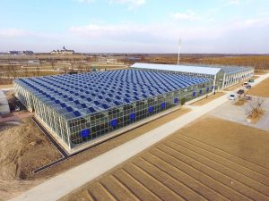 Luneng Eco-City Modern Agricultural Park, Langfang, Hebei